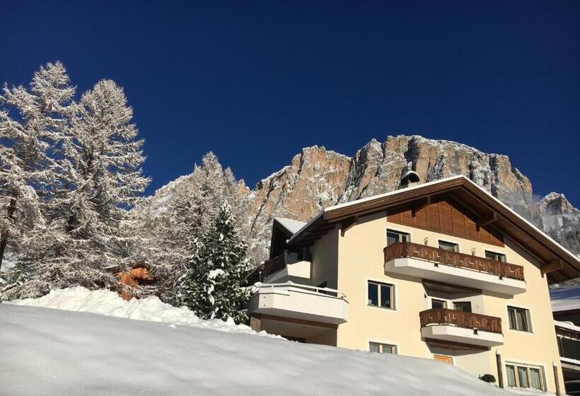 Пансион Ciasa Roenn