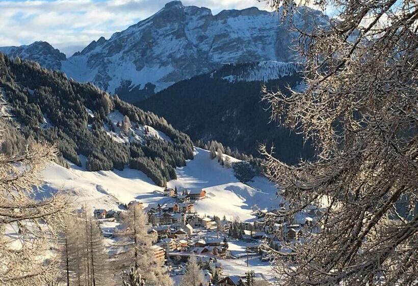 Пансион Ciasa Roenn