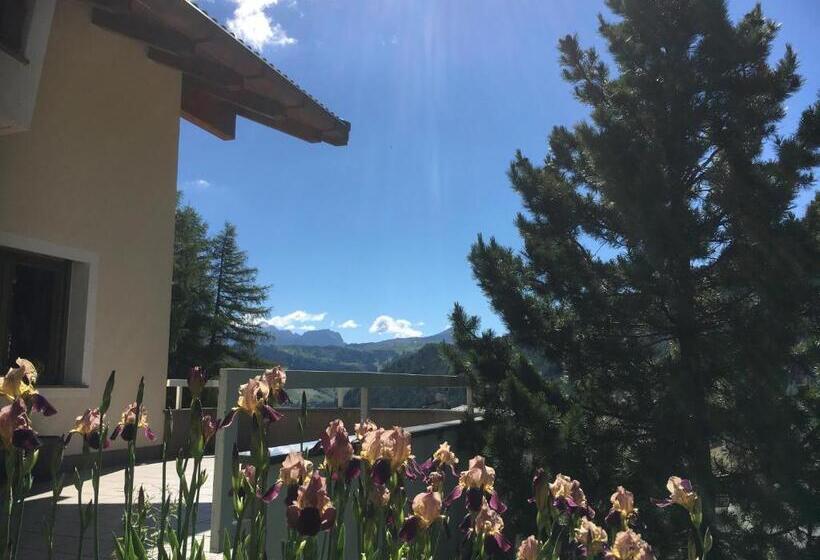 Пансион Ciasa Roenn