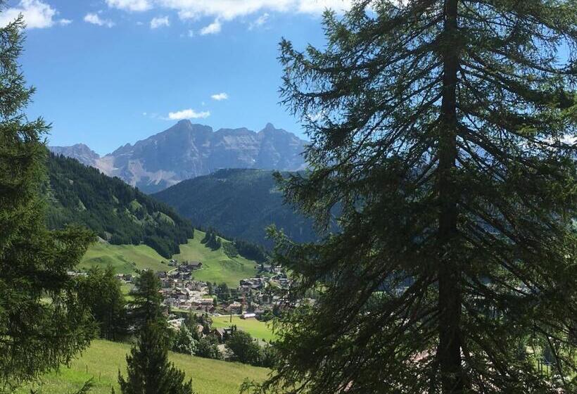 Пансион Ciasa Roenn