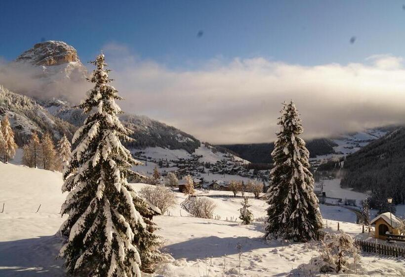 Пансион Ciasa Roenn