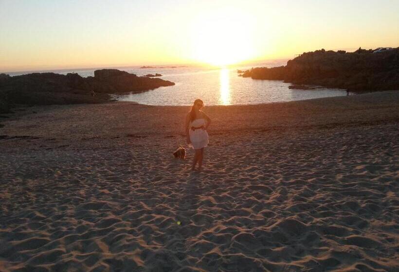 Пансион Hostal Del Mar