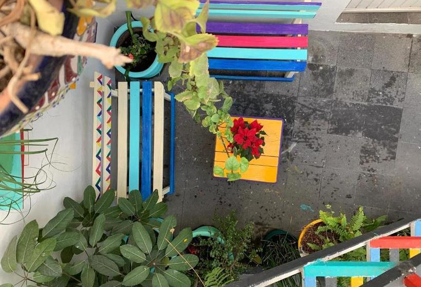 Пансион Monkey Safari Hostel