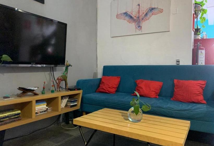 Пансион Monkey Safari Hostel