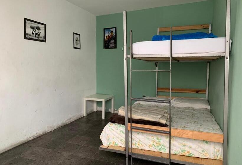 Пансион Monkey Safari Hostel