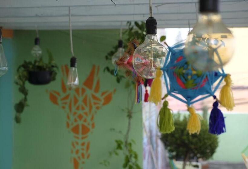 Пансион Monkey Safari Hostel