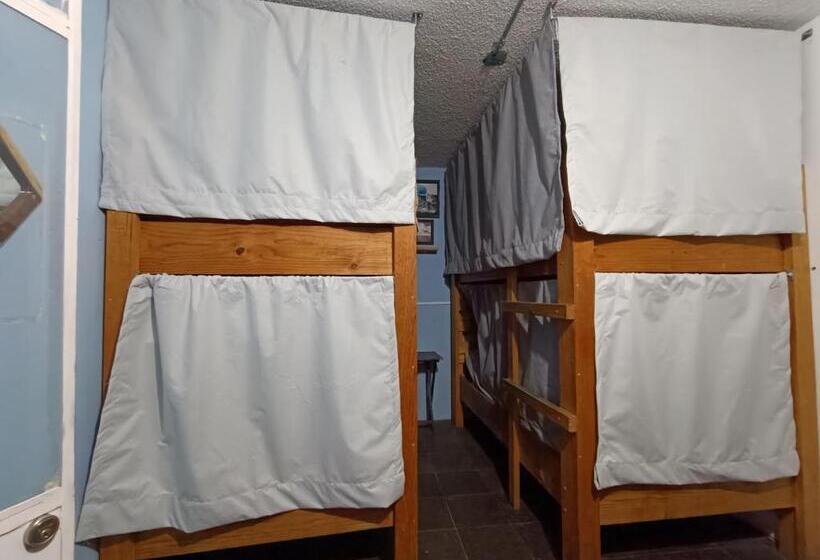 Пансион Monkey Safari Hostel