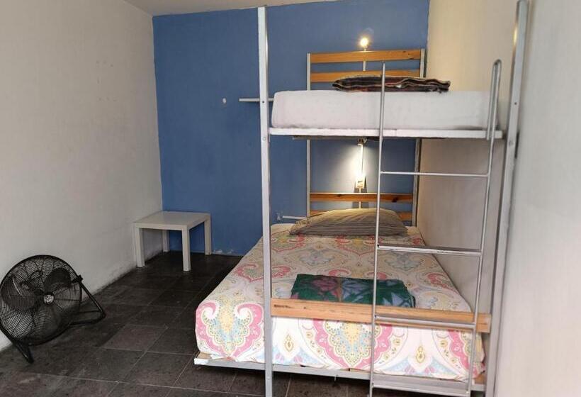 Пансион Monkey Safari Hostel