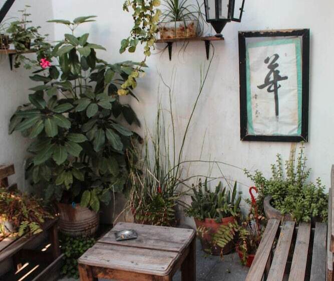 Пансион Monkey Safari Hostel