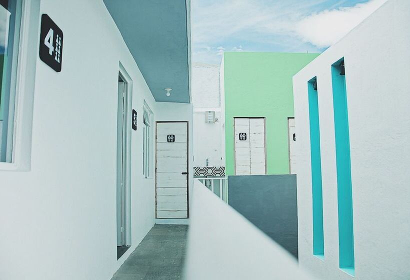 Пансион Monkey Safari Hostel