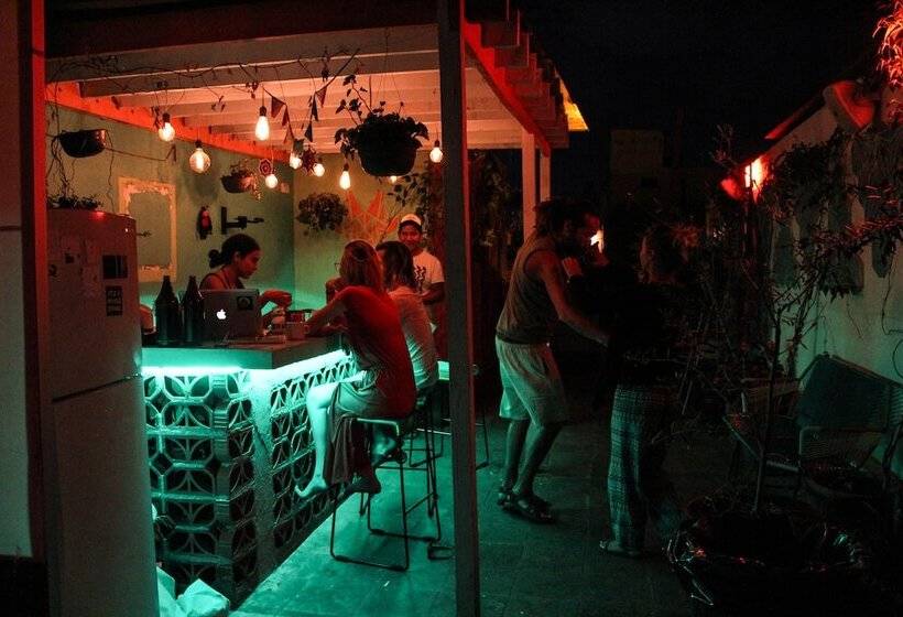 Пансион Monkey Safari Hostel