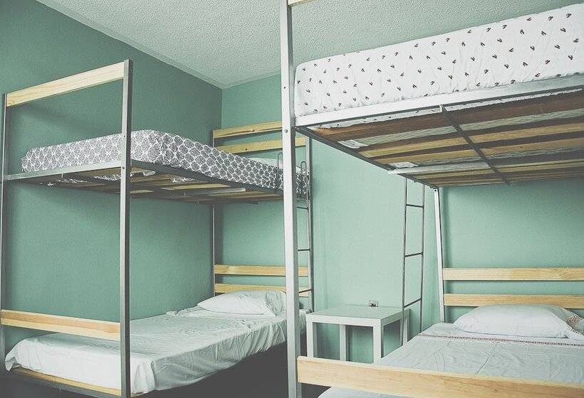 Пансион Monkey Safari Hostel