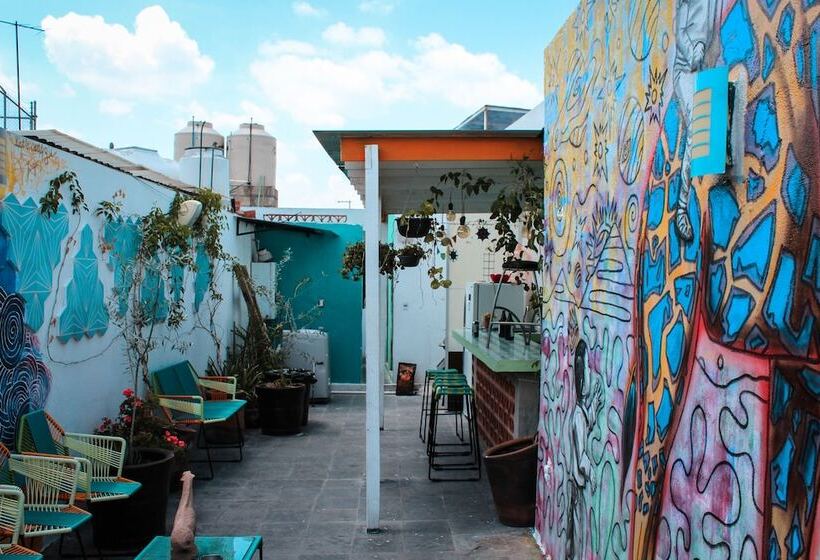 Пансион Monkey Safari Hostel