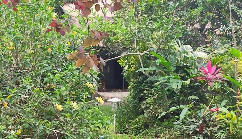 膳宿费 Pousada Peki