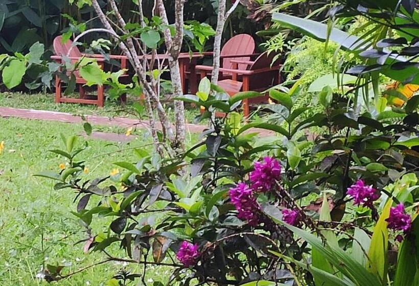 膳宿费 Pousada Peki