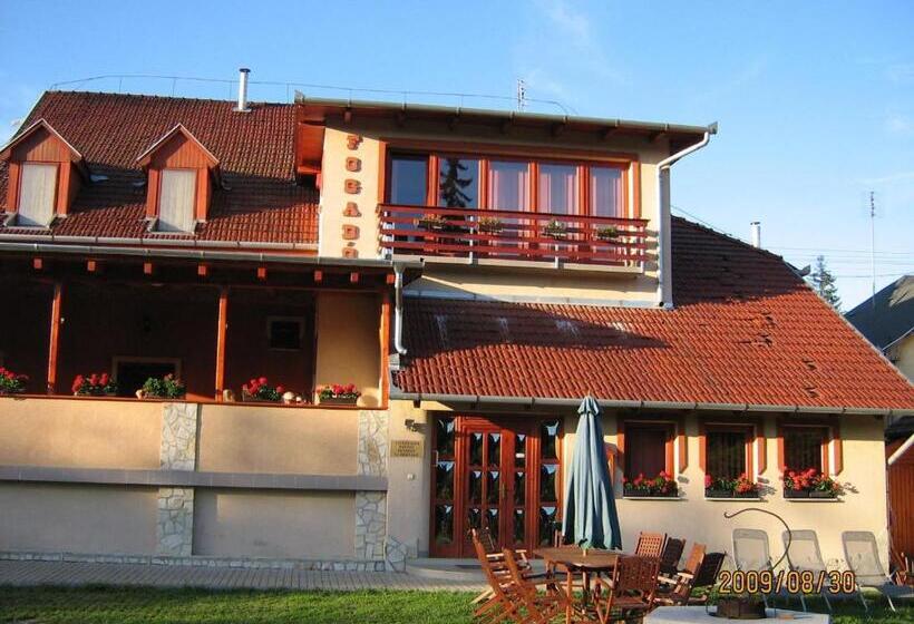 פנסיון Tavi Fészek Fogadó