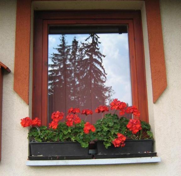 פנסיון Tavi Fészek Fogadó