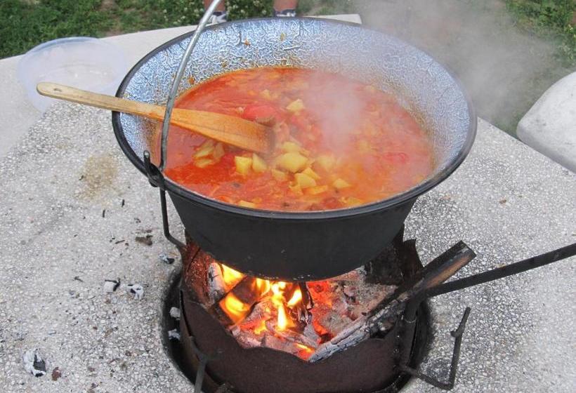 פנסיון Tavi Fészek Fogadó