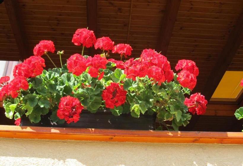 פנסיון Tavi Fészek Fogadó