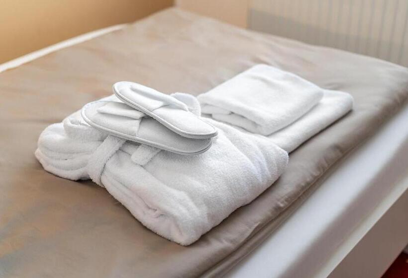 膳宿费 Vila Jiřinka