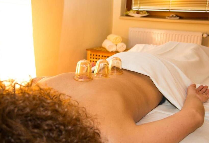 펜션 Vila Jiřinka