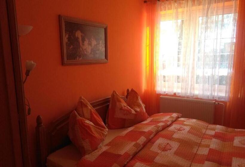 פנסיון Vila Patricie