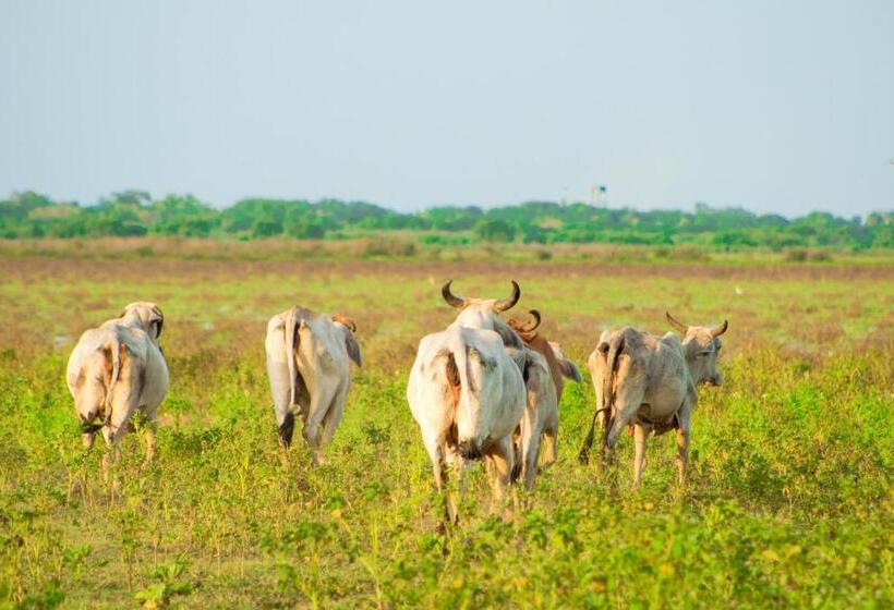 Hostel Pueblito Magico