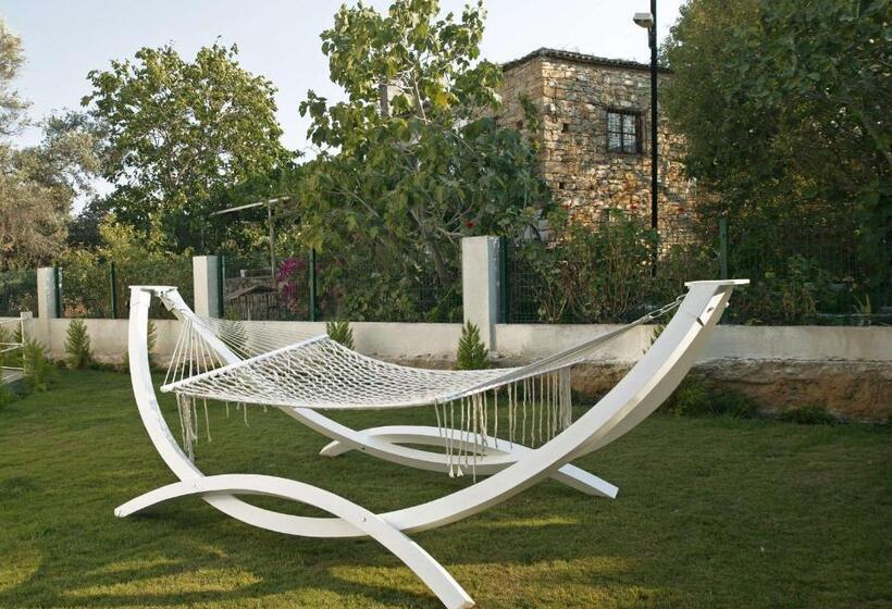 The D Hotel Spa & Resort