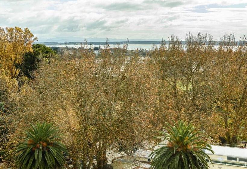 Top Of The Town Bed & Breakfast