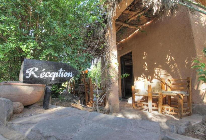 هتل Kasbah Baha Baha