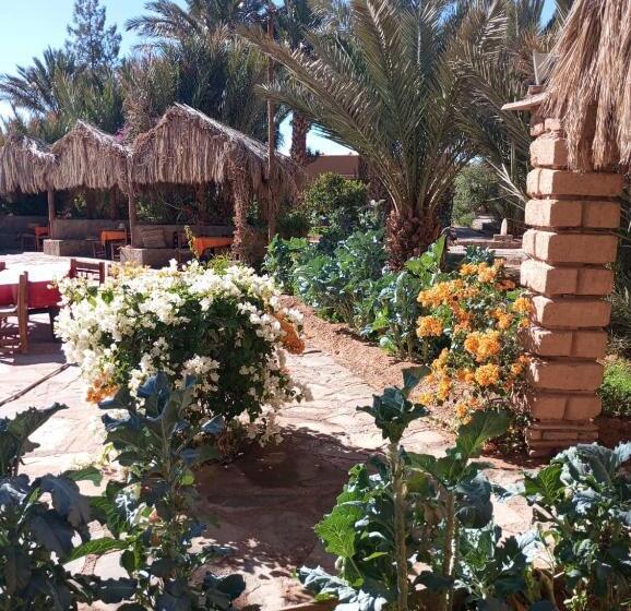 هتل Kasbah Baha Baha