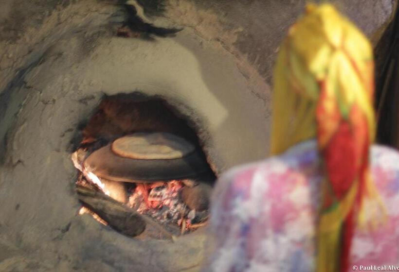 هتل Kasbah Baha Baha