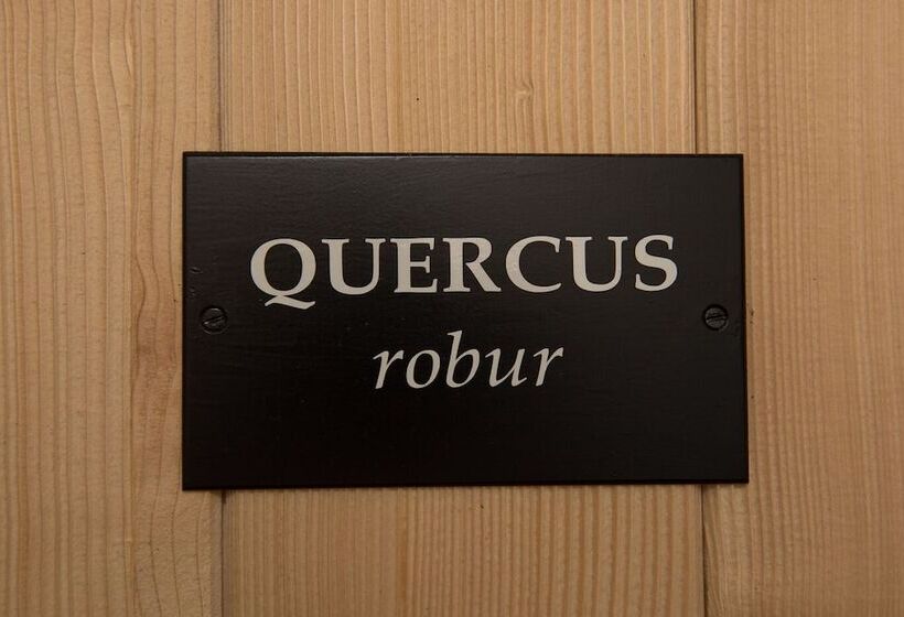 مبيت وإفطار La Barboire Campagne   Chambres