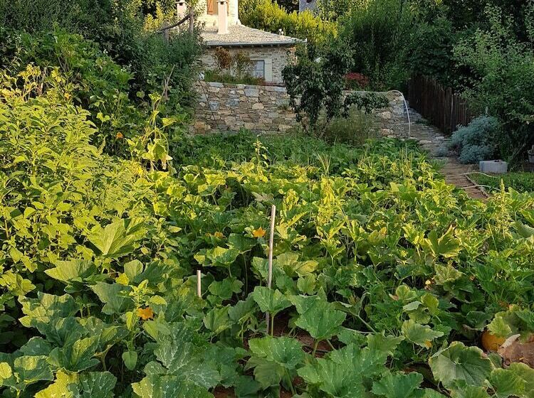 בית מלון כפרי Amanita Boutique