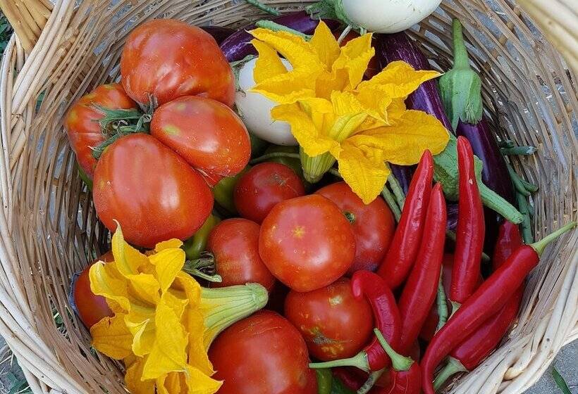 בית מלון כפרי Amanita Boutique