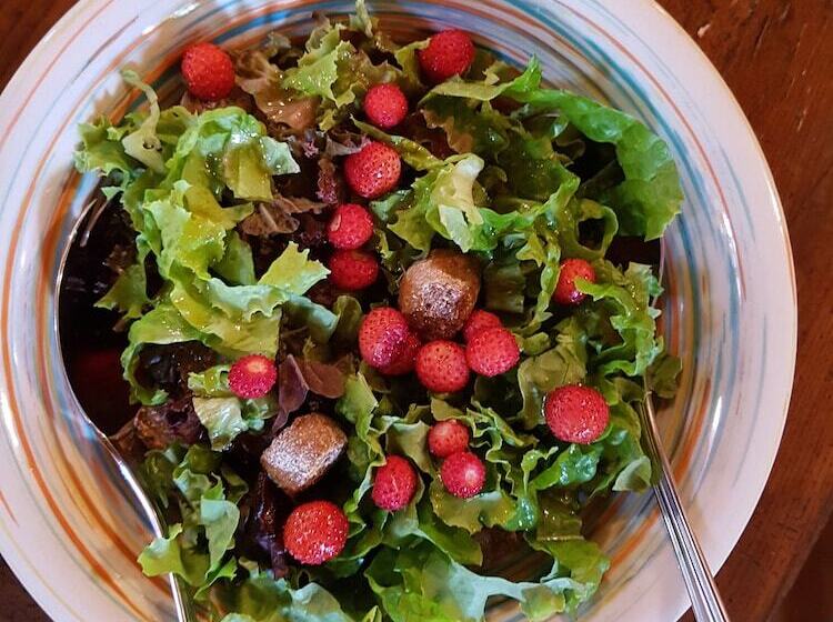 בית מלון כפרי Amanita Boutique