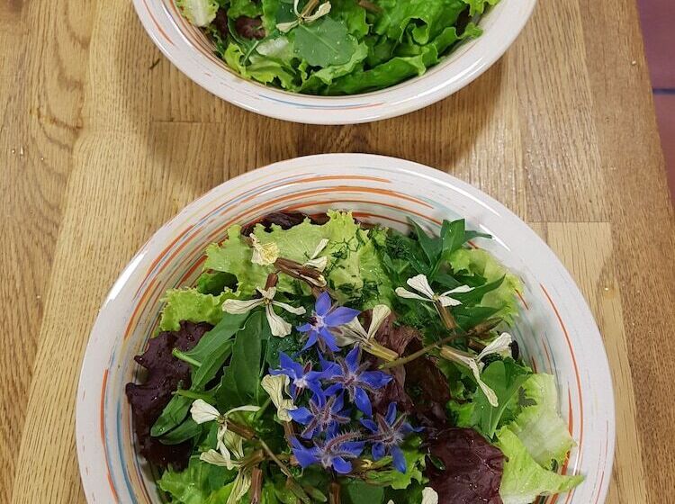 בית מלון כפרי Amanita Boutique