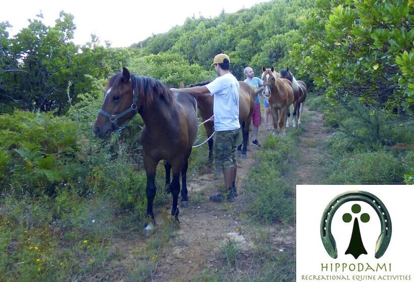 בית מלון כפרי Arxontiko Mytilineou   Skretaion