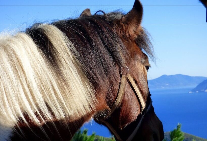 בית מלון כפרי Arxontiko Mytilineou   Skretaion