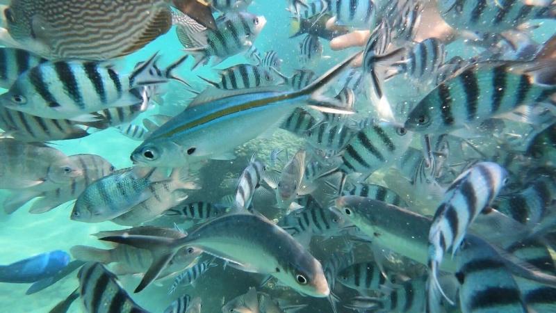 Отель Baan Chan Lay Koh Chang