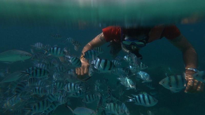 Отель Baan Chan Lay Koh Chang