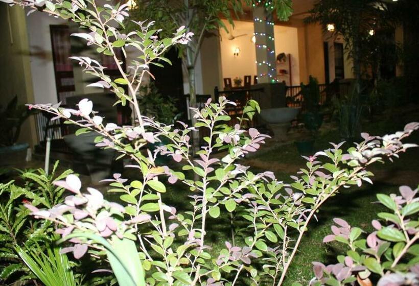 호텔 Bed & Bicycle Hostel Dambulla