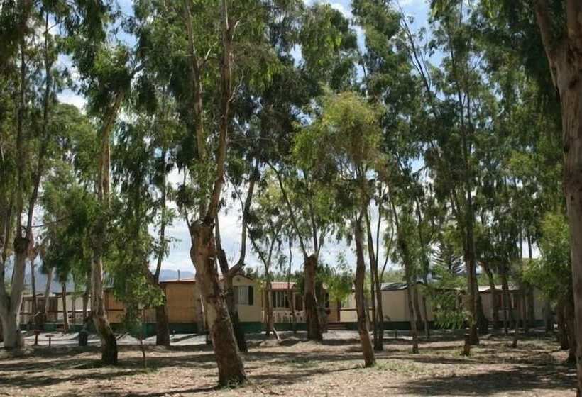 Отель Batuca Village & Camping