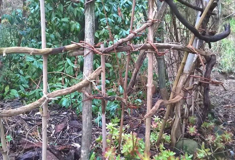 هتل Cinque Terre Tra Il Filo Di Arianna