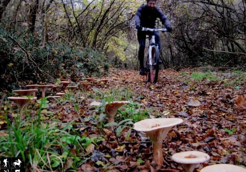 בית מלון כפרי Karavia Lux Inn