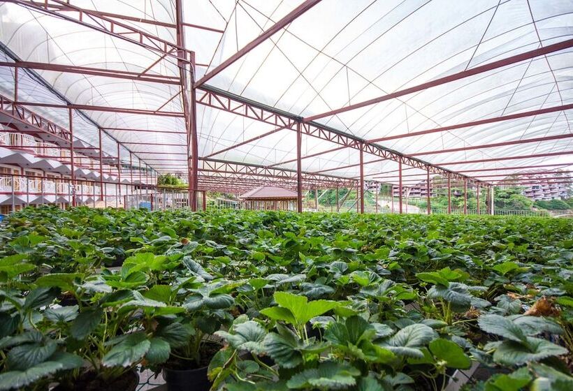 فندق Kea Garden Guest House