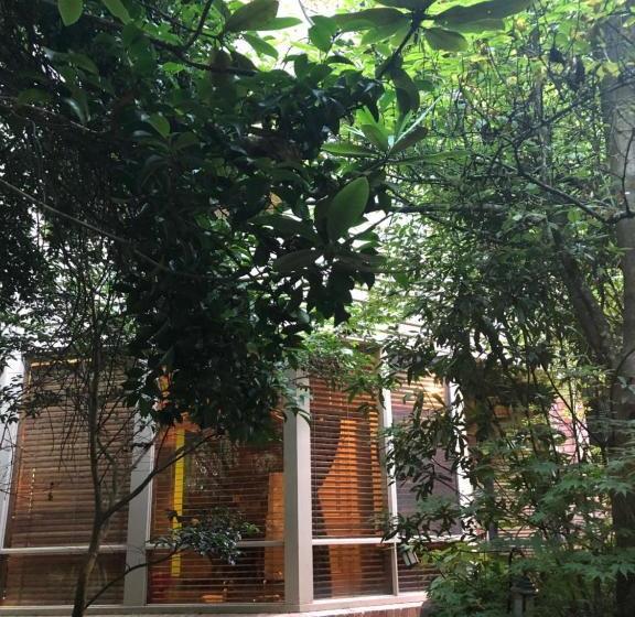 ホテル Linden Gardens Rainforest Retreat