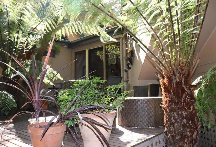 ホテル Linden Gardens Rainforest Retreat