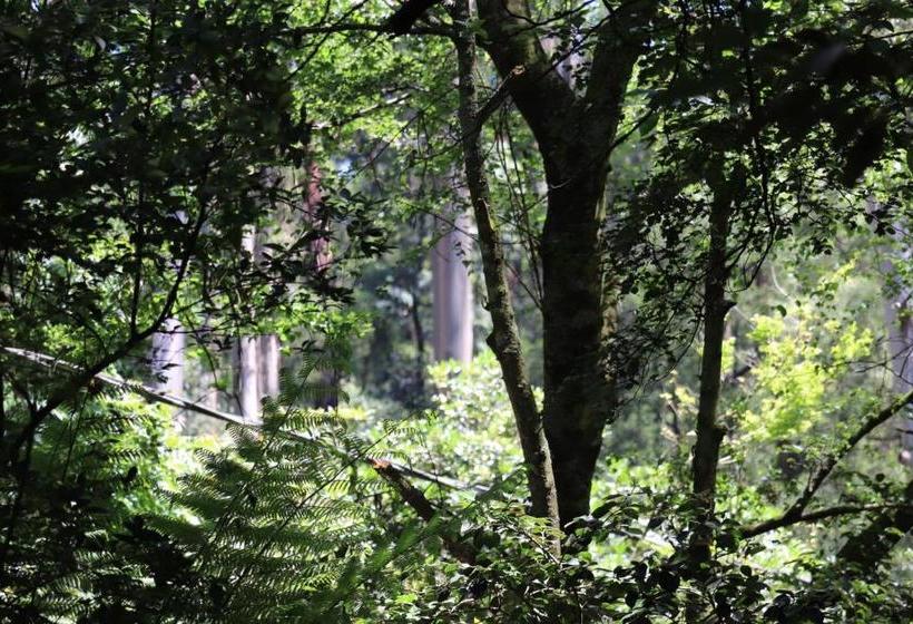 ホテル Linden Gardens Rainforest Retreat