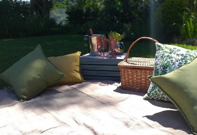 酒店 Matusadona Guest Lodge